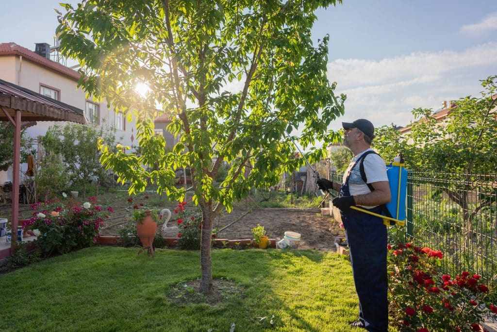 routine tree care services being performed by person in yard