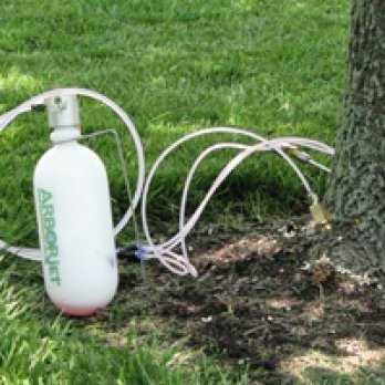 bottle of pesticide with spray bottle next to the base of a tree