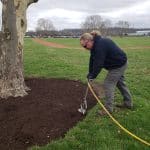 Tree Care Services for Healthy & Safe Landscapes