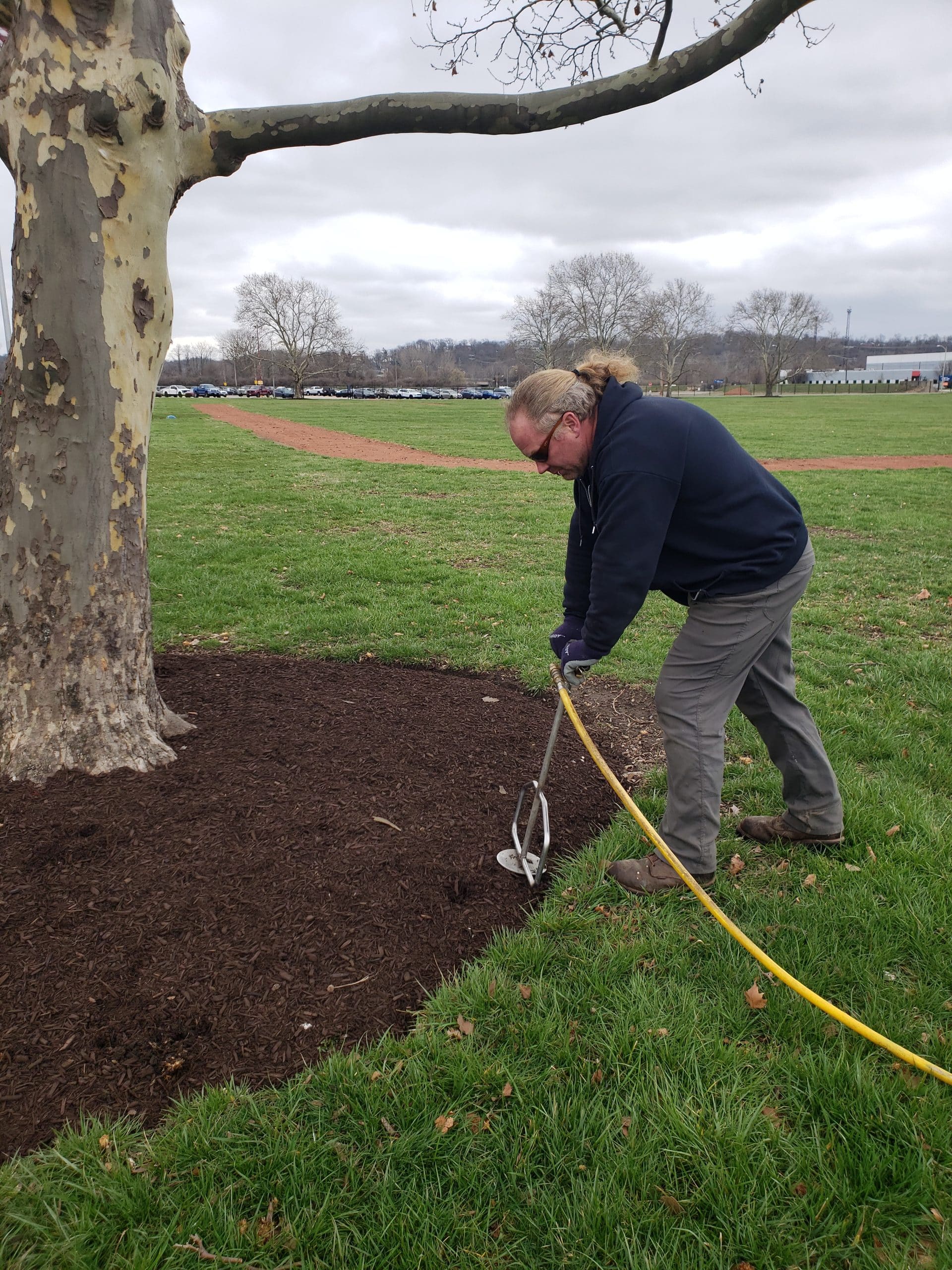 You are currently viewing Tree Care Services for Healthy & Safe Landscapes